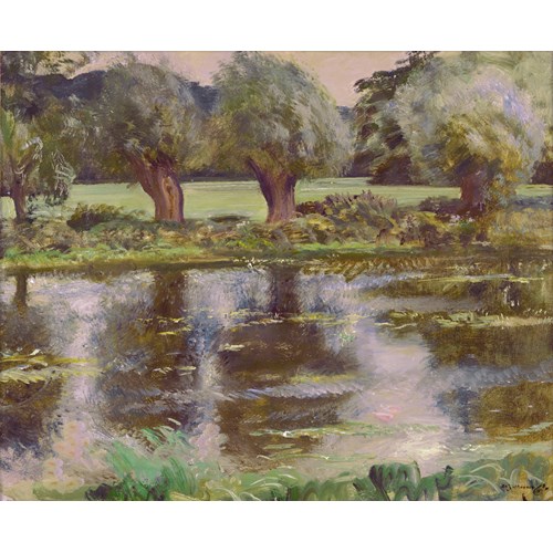 Willows on the Stour